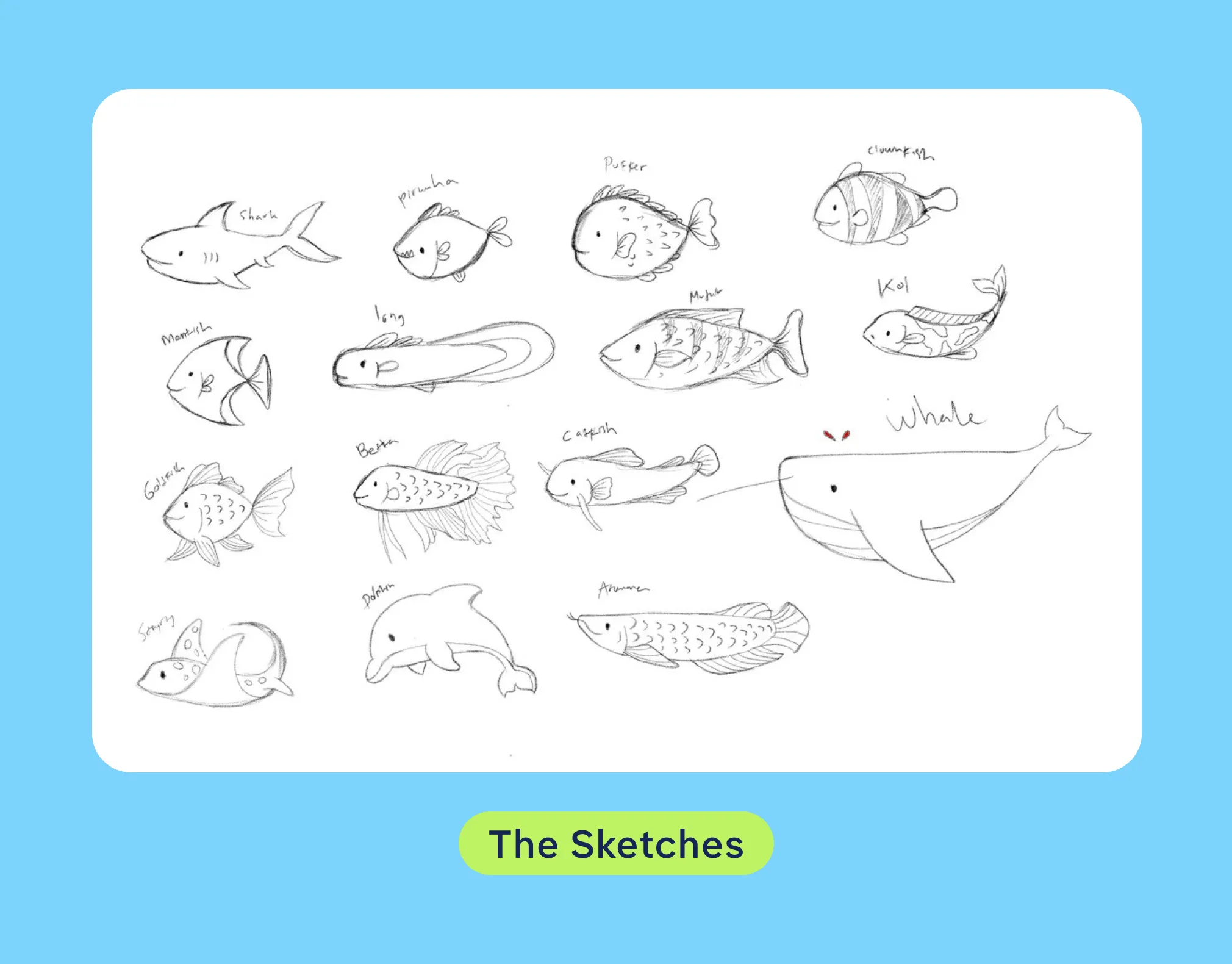 Various fish and water mammals sketch illustration