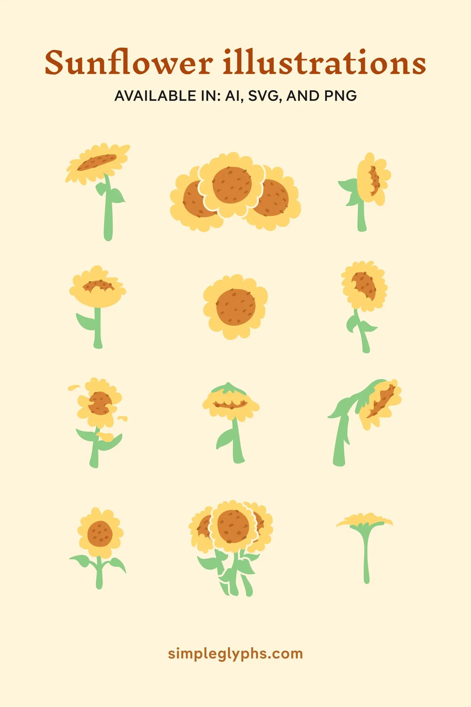 Sunflower illustrations collection